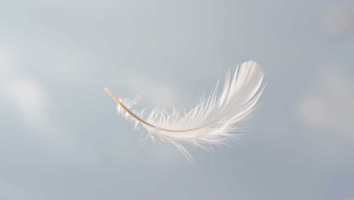 You read that white: Pantone's 2026 Color of the Year is 'Cloud Dancer'