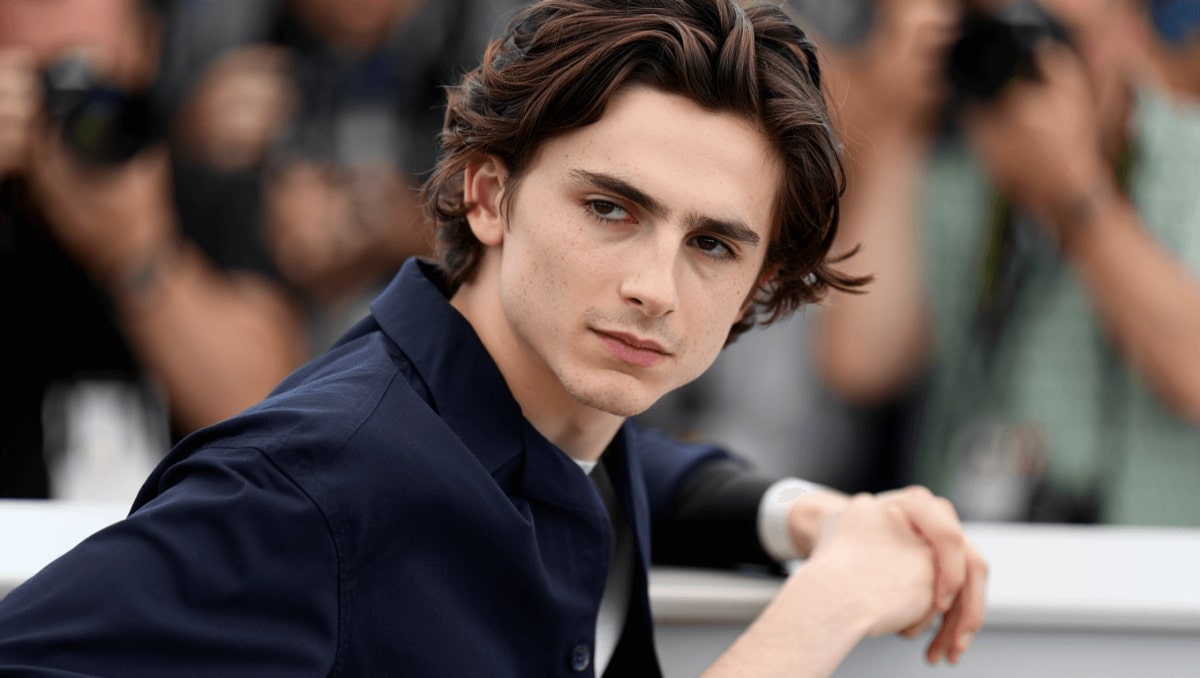 Timothée Chalamet Has Finally Responded to Speculation That He Is Masked Rapper EsDeeKid