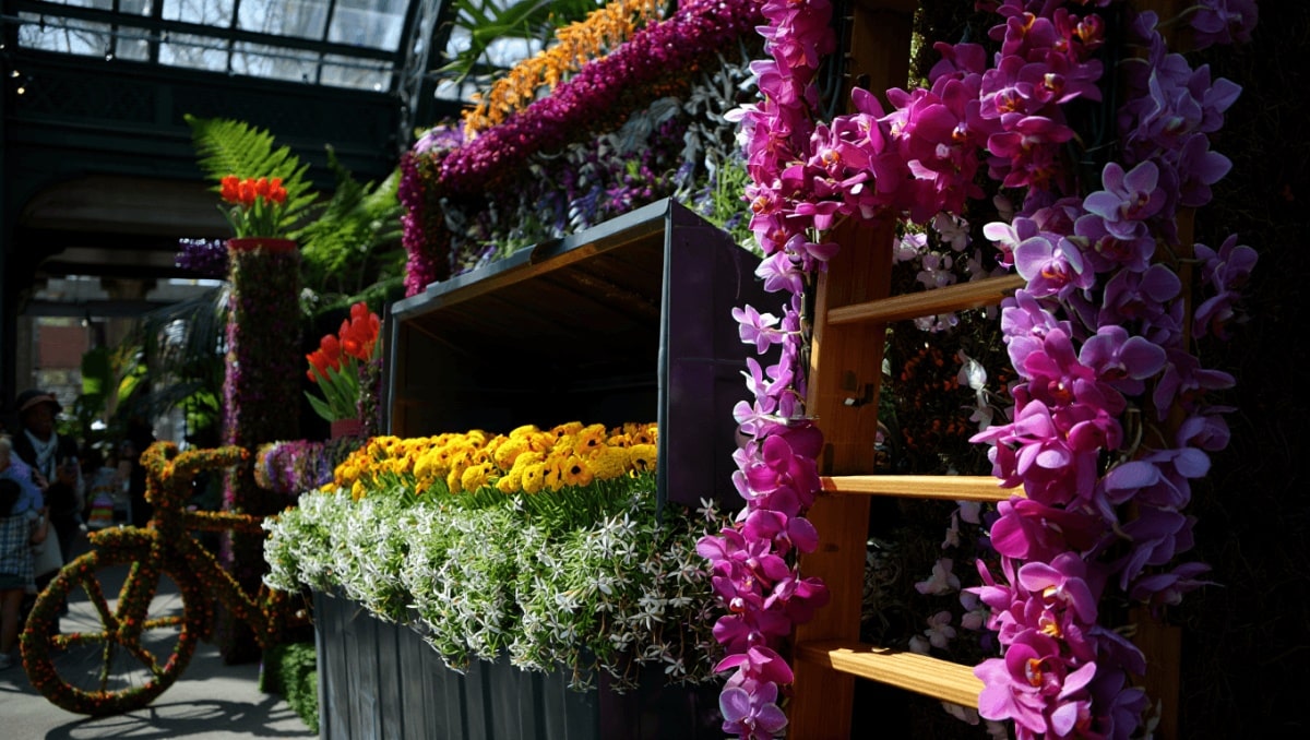 A mysterious floral artist brings beauty to fire escapes — and dumpsters