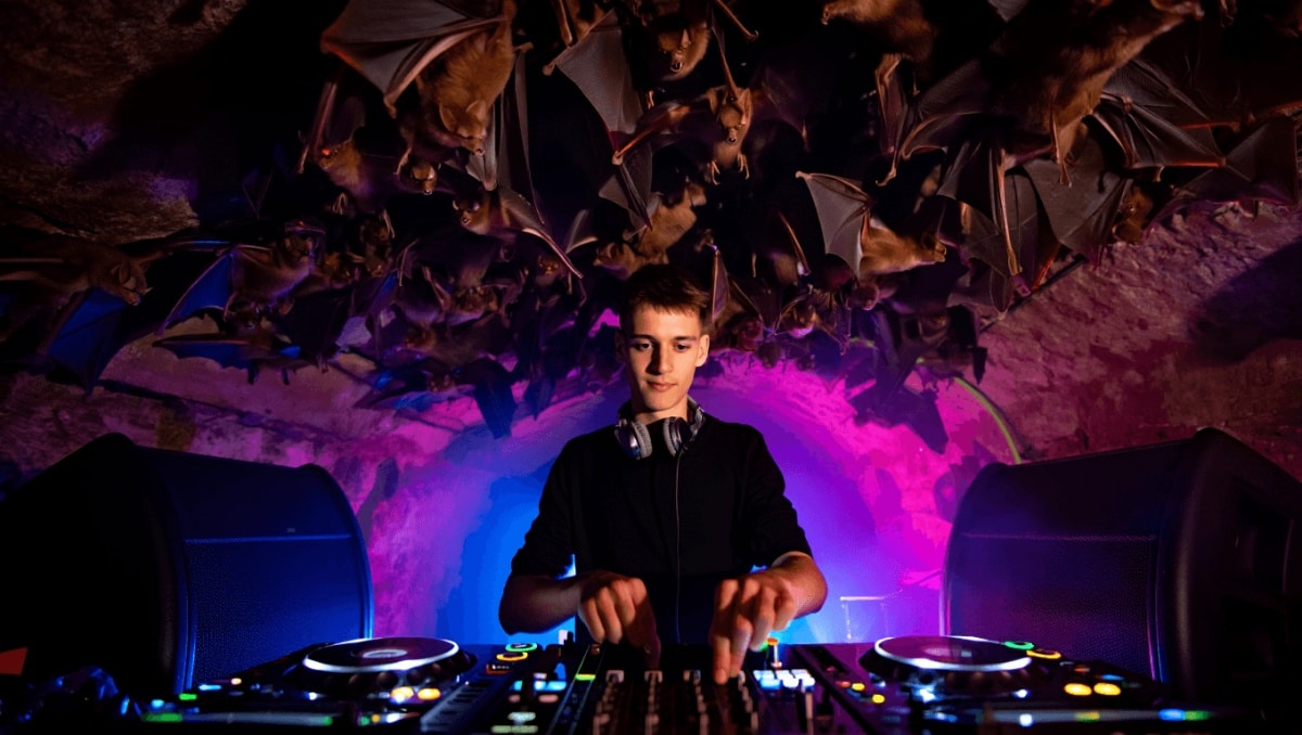 If You’ve Ever Felt Like EDM Could Use More Bat Echolocation, You’re Going to Want to Hear This Album