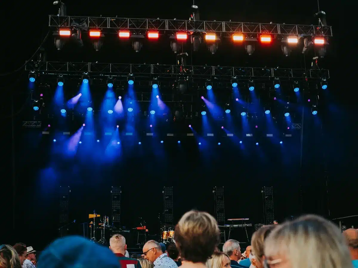 A packed concert venue with audience members singing along, capturing the communal energy of a live grunge performance