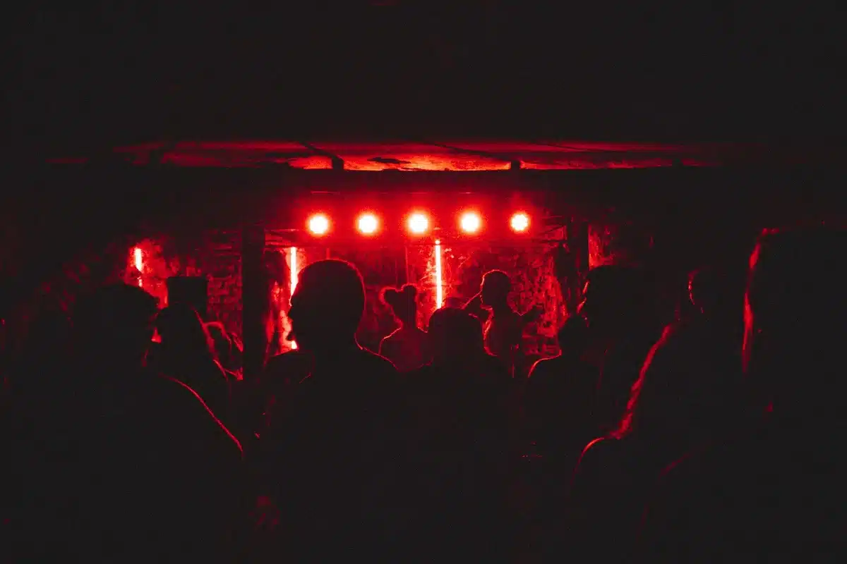 Diverse crowd at a punk rock concert with raised fists and animated expressions