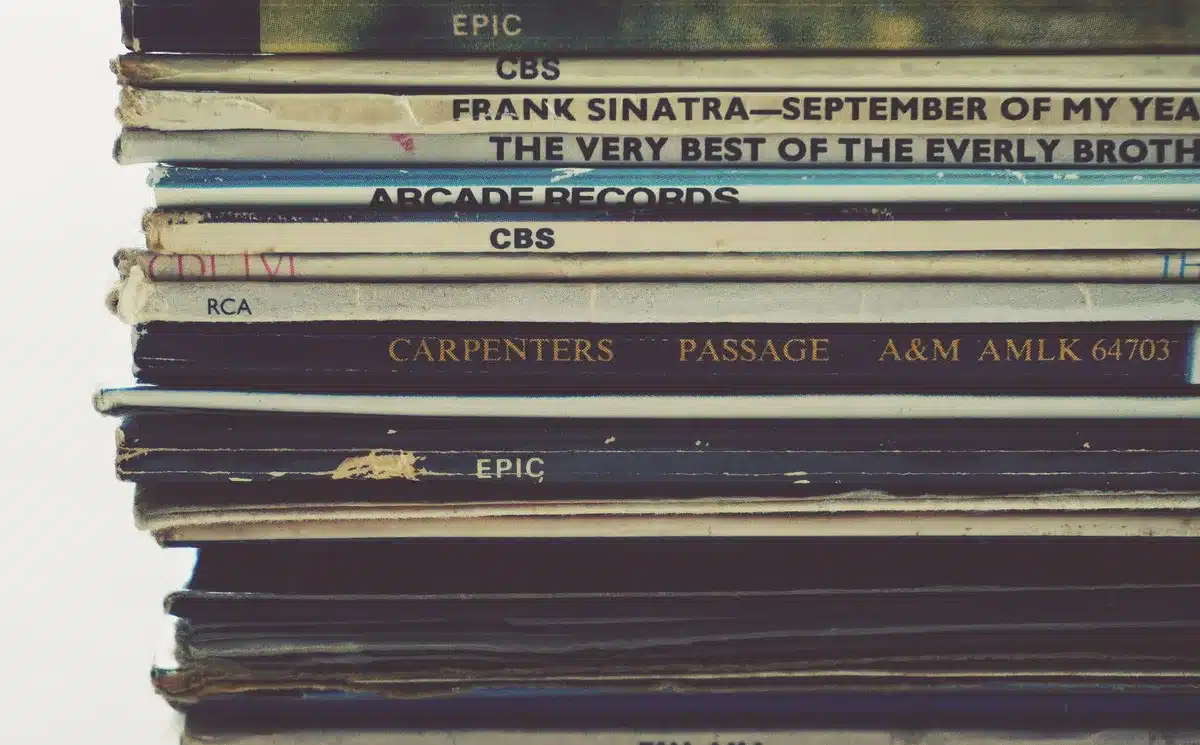 Stacks of vinyl records and CDs displayed on shelves, representing music collection