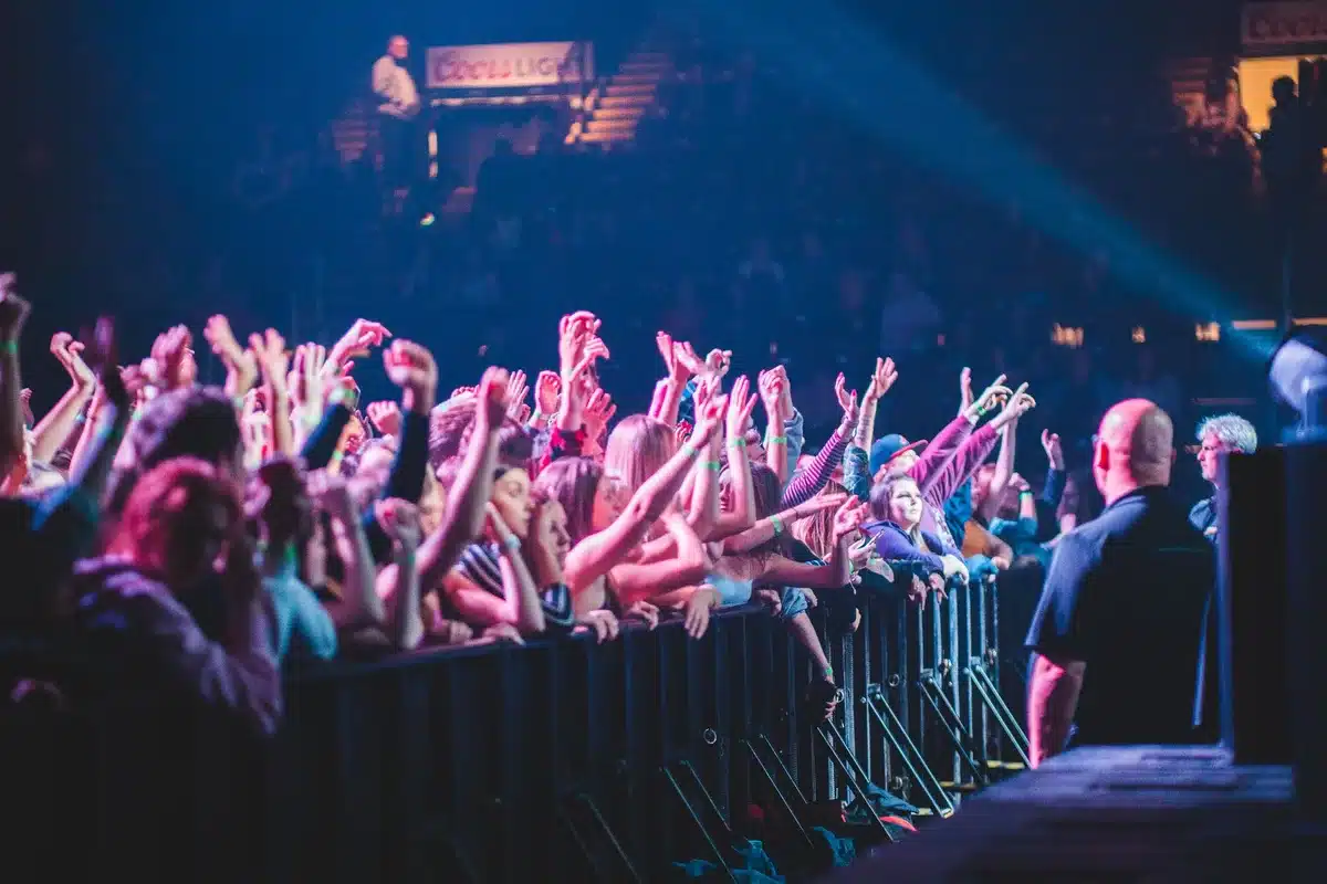 Security personnel and staff coordinating with a crowd at a live music venue.