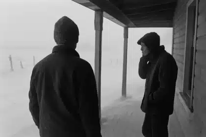 A Long Winter review: Fred Hechinger dazzles in unmissable queer drama