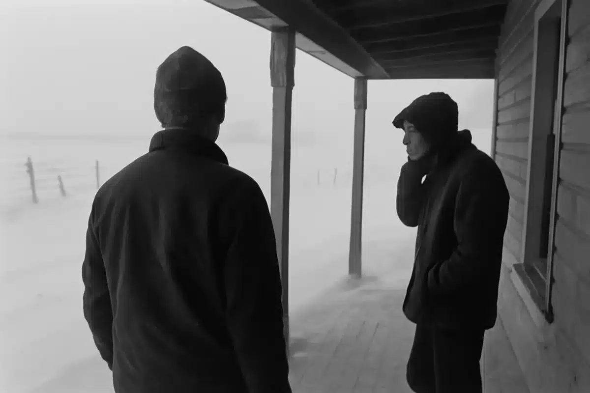 A Long Winter review: Fred Hechinger dazzles in unmissable queer drama