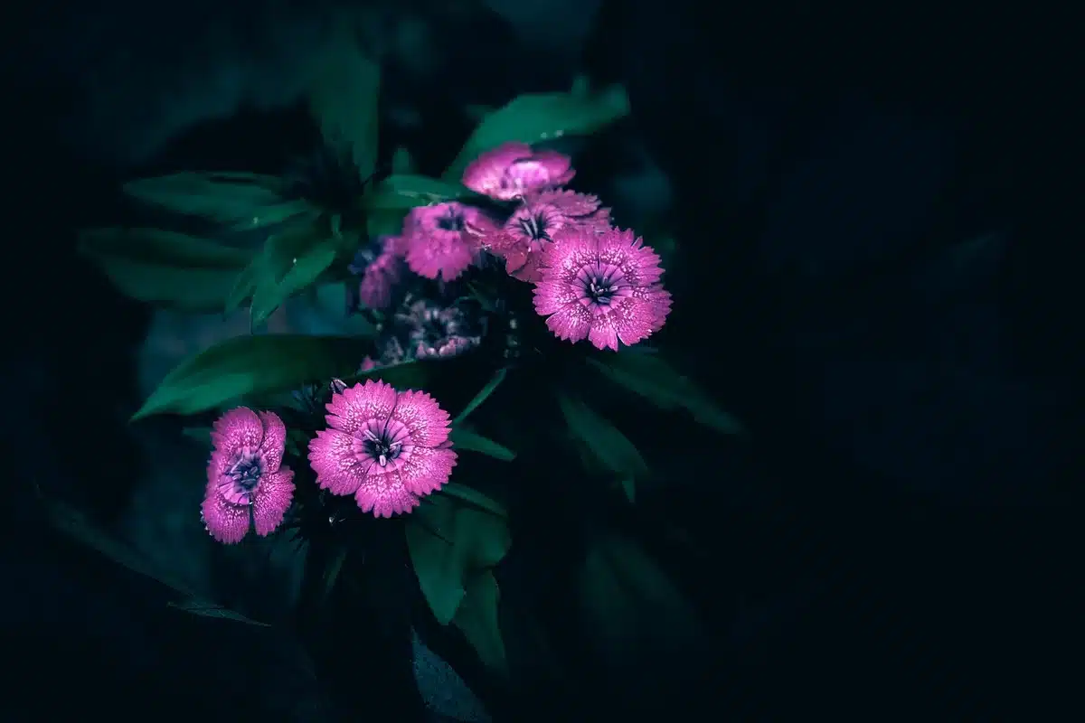 Tight, moody close-up with stark lighting suggesting cinematic tension