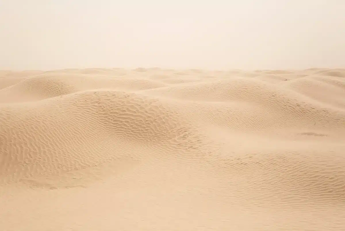 Storm-eroded shoreline with narrow strip of sand and undercut dunes