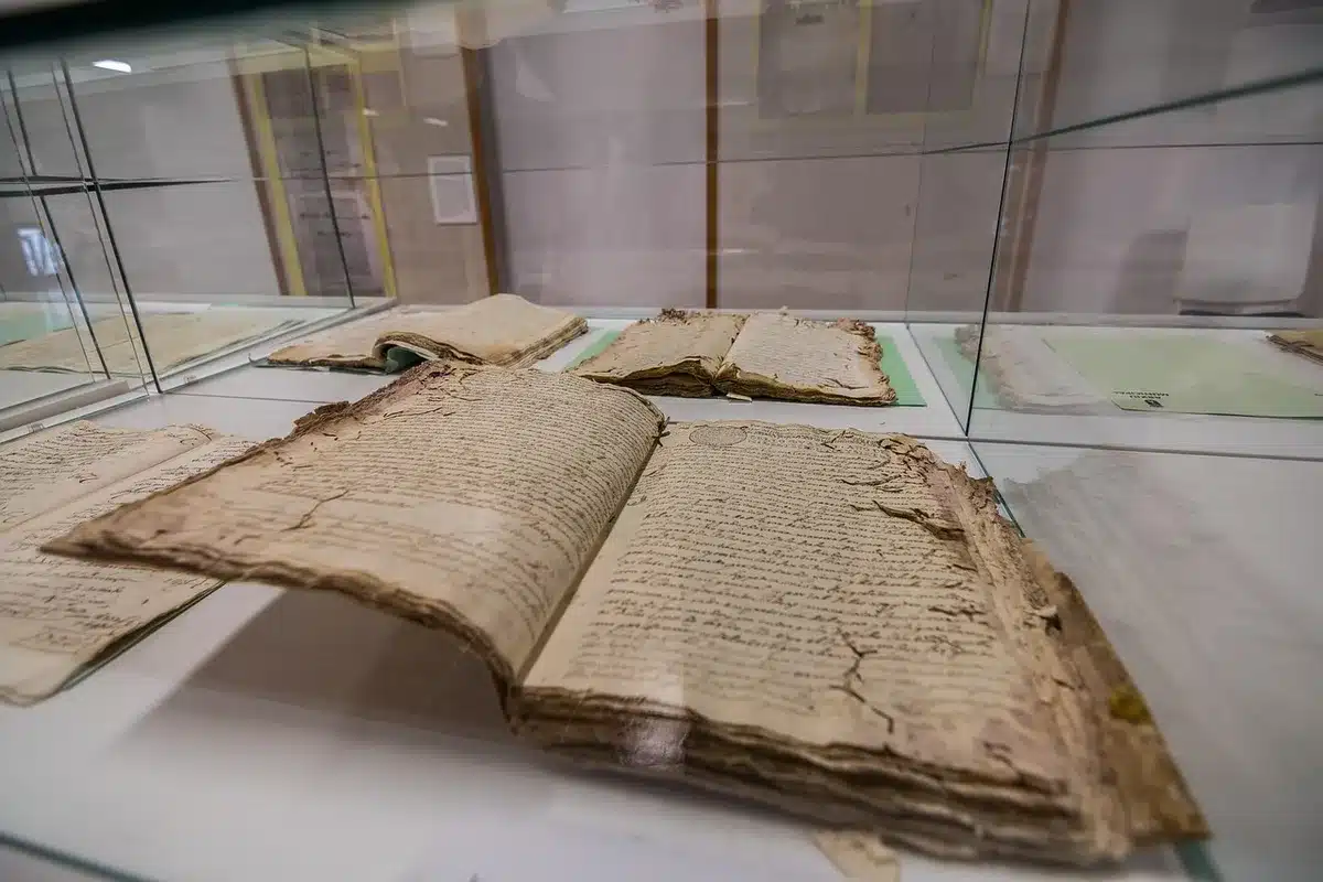Search results and archive pages showing historical citations of a rare word