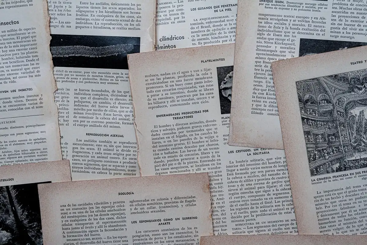 Hands holding an open paper book, close-up on pages and fingers