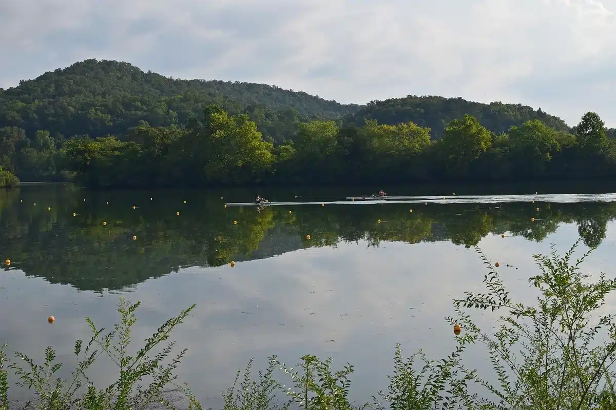 A lone teenage rower in a single scull on calm water