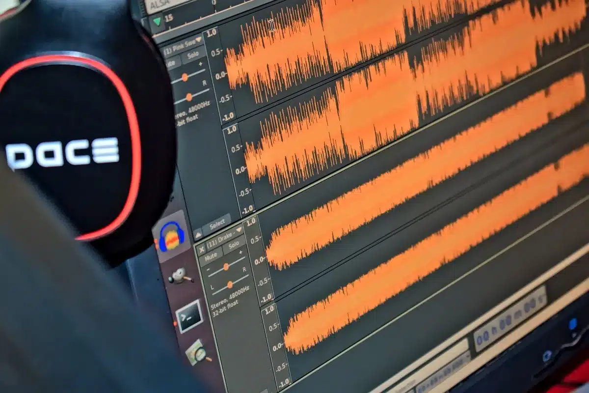 Waveform with overlay indicating digital watermark in an audio file