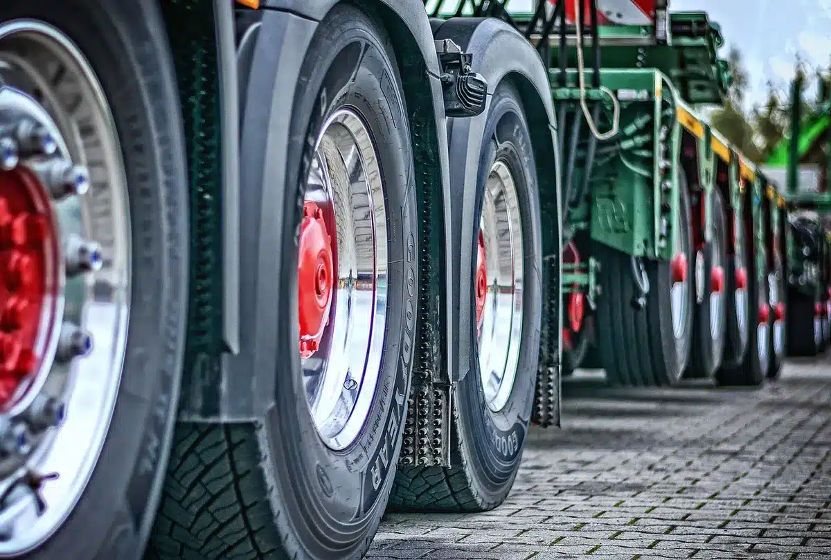 Compacted soil and damaged grass roots from heavy foot traffic at outdoor events