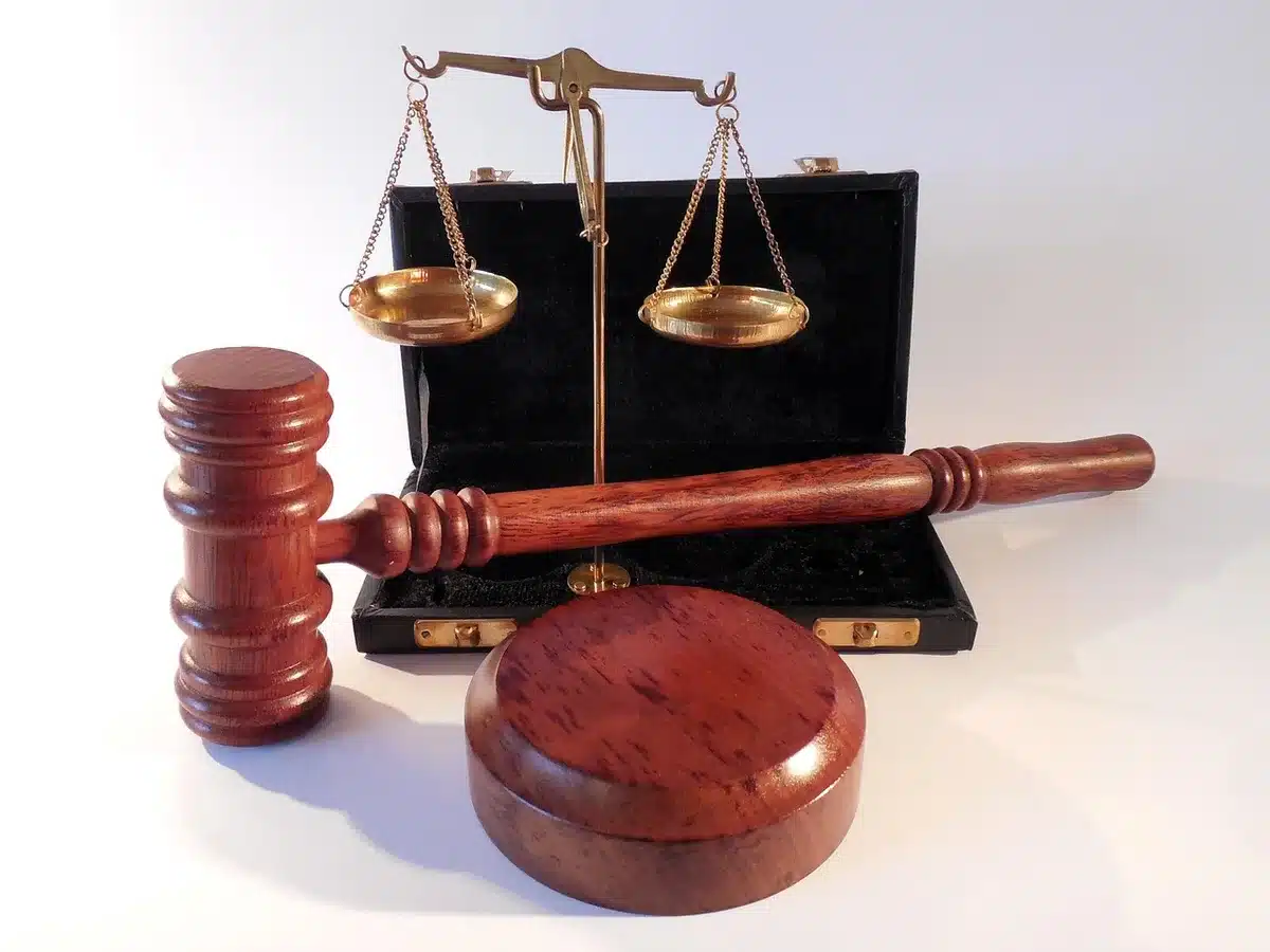 Lawyer with papers and a gavel symbolizing election law issues
