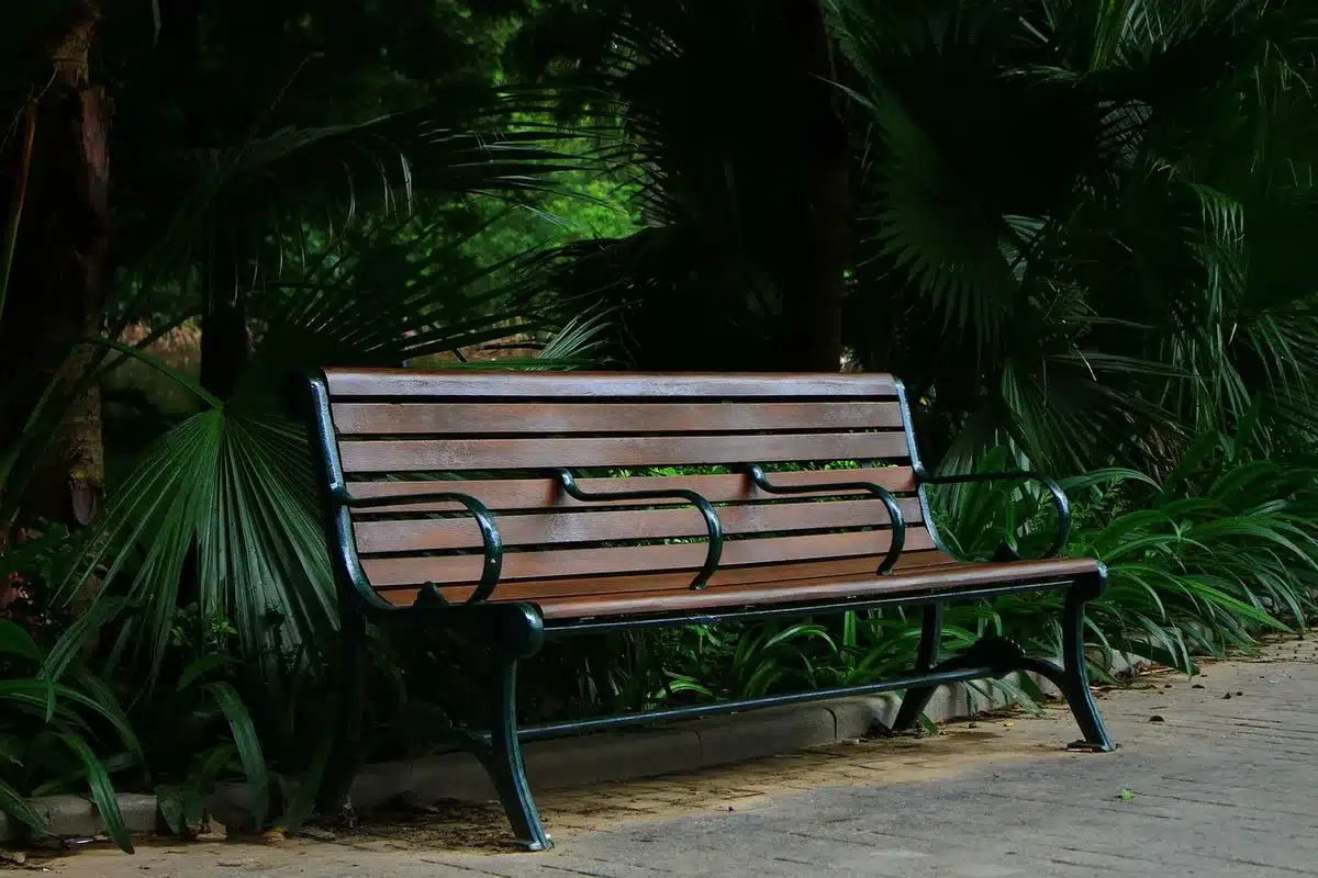 Empty chair on a legislative bench spotlighted