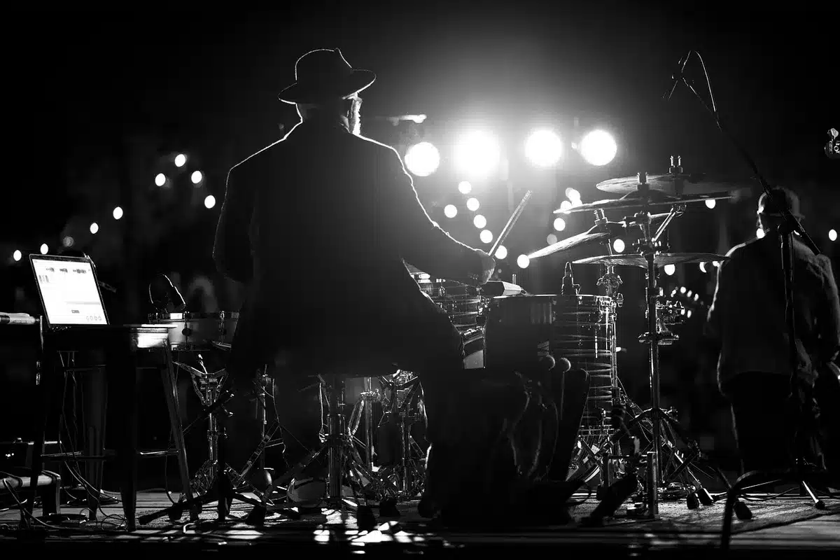 Crowd cheering and camera flashes at an outdoor concert